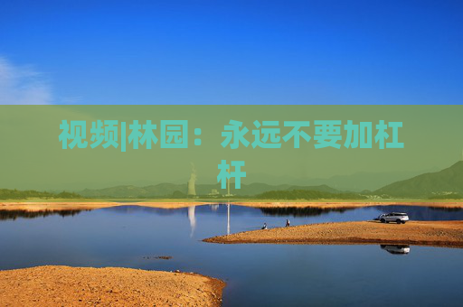 视频|林园：永远不要加杠杆