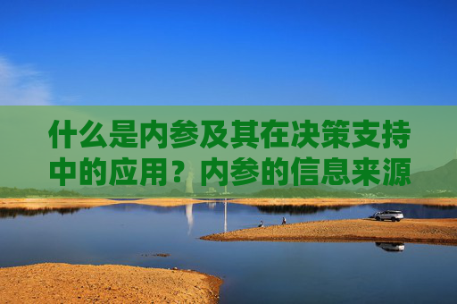 什么是内参及其在决策支持中的应用？内参的信息来源和使用方法有哪些？