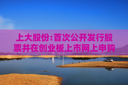 上大股份:首次公开发行股票并在创业板上市网上申购情况及中签率公告