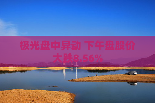 极光盘中异动 下午盘股价大跌8.56%