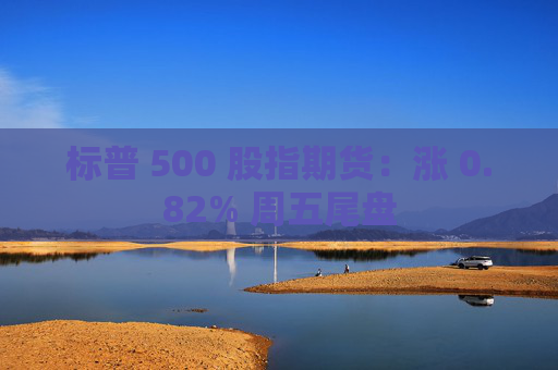 标普 500 股指期货:涨 0.82% 周五尾盘