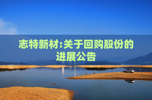 志特新材:关于回购股份的进展公告