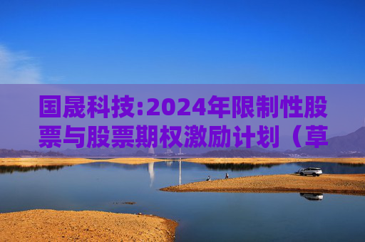 国晟科技:2024年限制性股票与股票期权激励计划（草案）摘要公告