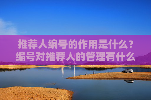 推荐人编号的作用是什么？编号对推荐人的管理有什么影响？
