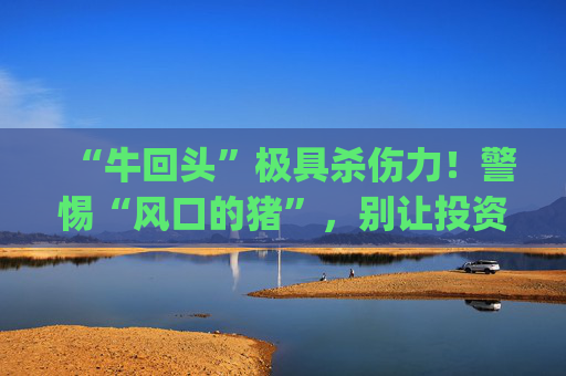 “牛回头”极具杀伤力！警惕“风口的猪”，别让投资心跳成为"投资返贫"！