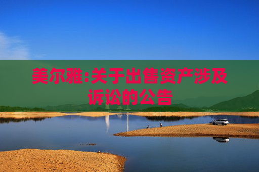 美尔雅:关于出售资产涉及诉讼的公告