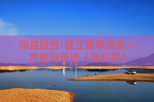同益股份:独立董事提名人声明与承诺（陈辉祥）