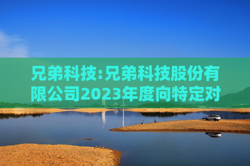 兄弟科技:兄弟科技股份有限公司2023年度向特定对象发行A股股票预案（四次修订稿）