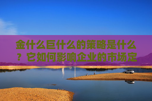 金什么巨什么的策略是什么？它如何影响企业的市场定位？