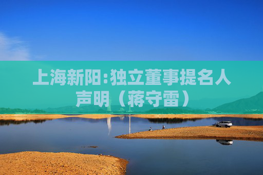 上海新阳:独立董事提名人声明（蒋守雷）