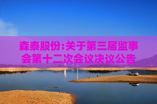 森泰股份:关于第三届监事会第十二次会议决议公告