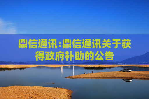 鼎信通讯:鼎信通讯关于获得政府补助的公告