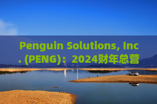 Penguin Solutions, Inc. (PENG)：2024财年总营收达11.7亿美元，管理服务收入占比增长