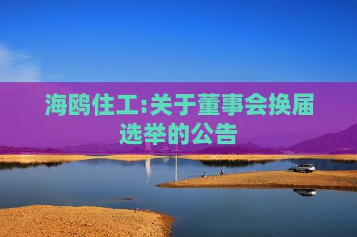 海鸥住工:关于董事会换届选举的公告