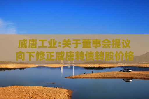 威唐工业:关于董事会提议向下修正威唐转债转股价格的公告