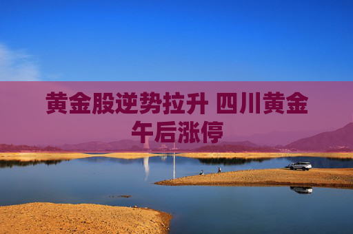 黄金股逆势拉升 四川黄金午后涨停