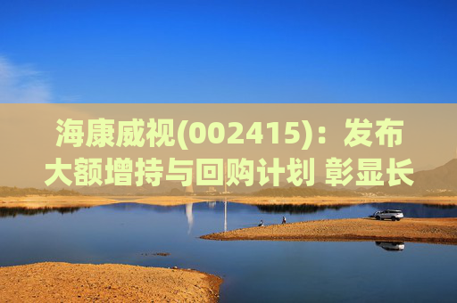海康威视(002415)：发布大额增持与回购计划 彰显长期发展信心