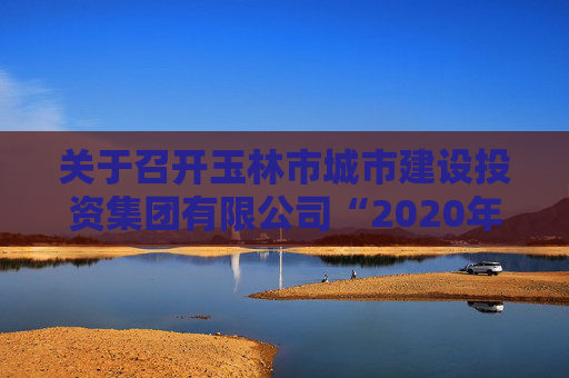 关于召开玉林市城市建设投资集团有限公司“2020年第一期玉林市城市建设投资集团有限公司城市停车场建设专项债券”2024年第一次债券持有人会议结果的公告