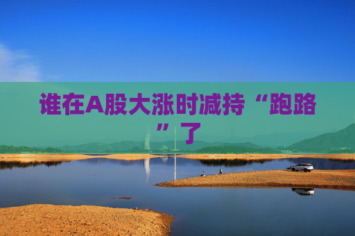 谁在A股大涨时减持“跑路”了