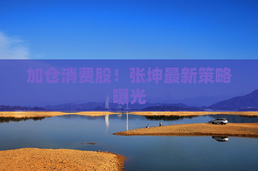 加仓消费股！张坤最新策略曝光
