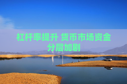杠杆率提升 货币市场资金分层加剧