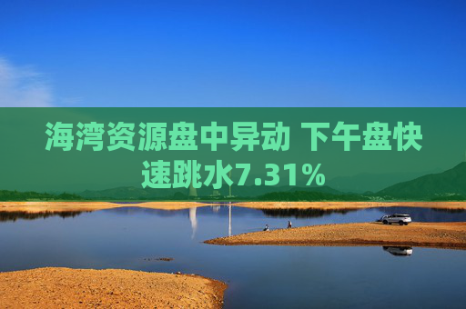 海湾资源盘中异动 下午盘快速跳水7.31%
