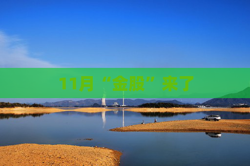 11月“金股”来了