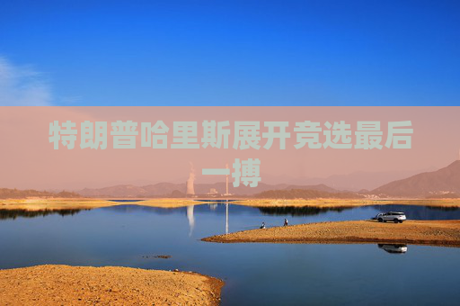 特朗普哈里斯展开竞选最后一搏