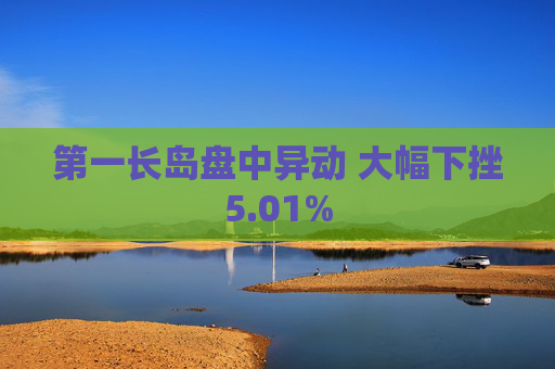 第一长岛盘中异动 大幅下挫5.01%