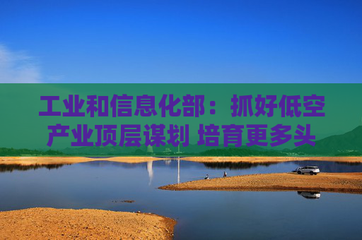 工业和信息化部：抓好低空产业顶层谋划 培育更多头部企业和专精特新“小巨人”企业