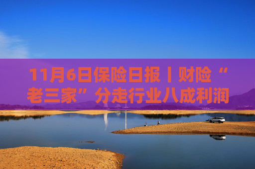 11月6日保险日报丨财险“老三家”分走行业八成利润，75家人身险公司前三季度净赚超2800亿