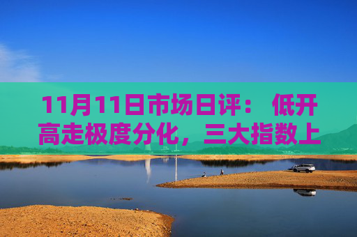 11月11日市场日评： 低开高走极度分化，三大指数上涨