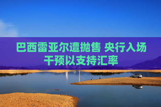 巴西雷亚尔遭抛售 央行入场干预以支持汇率