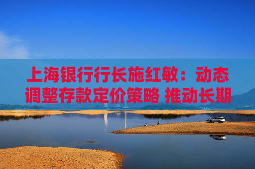 上海银行行长施红敏：动态调整存款定价策略 推动长期限存款向中短期转化