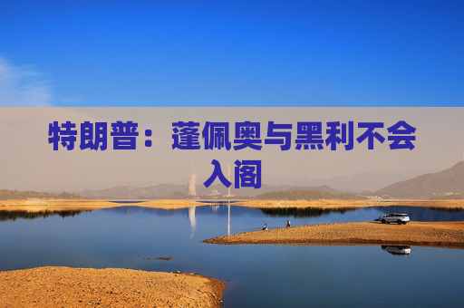 特朗普：蓬佩奥与黑利不会入阁