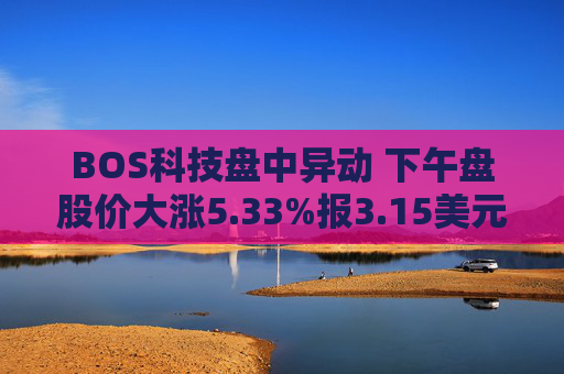 BOS科技盘中异动 下午盘股价大涨5.33%报3.15美元