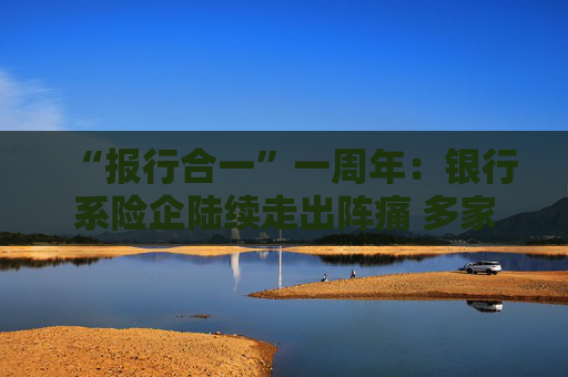 “报行合一”一周年：银行系险企陆续走出阵痛 多家外资险企进入上升通道