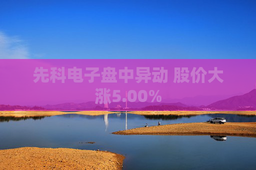 先科电子盘中异动 股价大涨5.00%