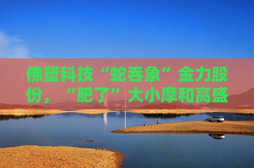 佛塑科技“蛇吞象”金力股份，“肥了”大小摩和高盛