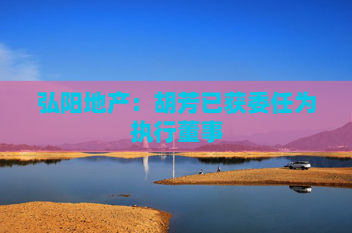 弘阳地产：胡芳已获委任为执行董事