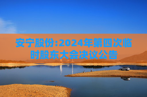 安宁股份:2024年第四次临时股东大会决议公告