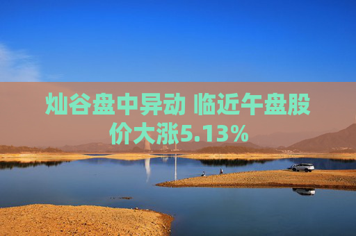 灿谷盘中异动 临近午盘股价大涨5.13%