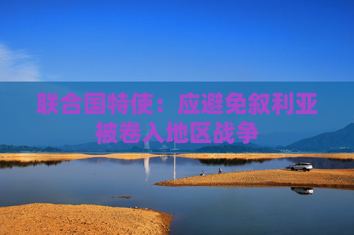 联合国特使：应避免叙利亚被卷入地区战争
