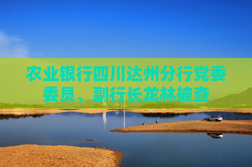 农业银行四川达州分行党委委员、副行长龙林被查