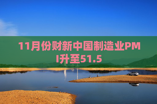 11月份财新中国制造业PMI升至51.5