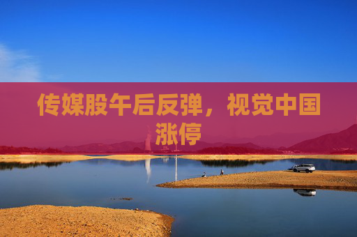 传媒股午后反弹，视觉中国涨停