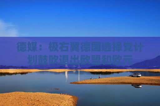 德媒：极右翼德国选择党计划鼓吹退出欧盟和欧元