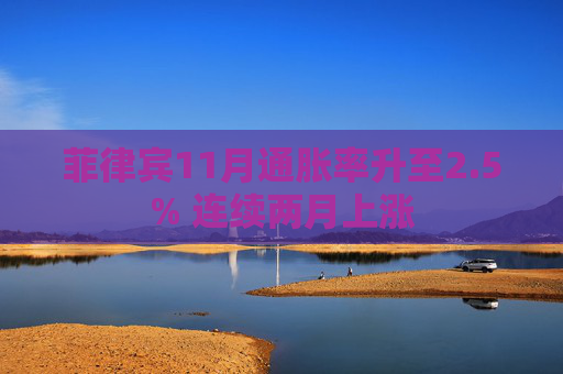 菲律宾11月通胀率升至2.5% 连续两月上涨