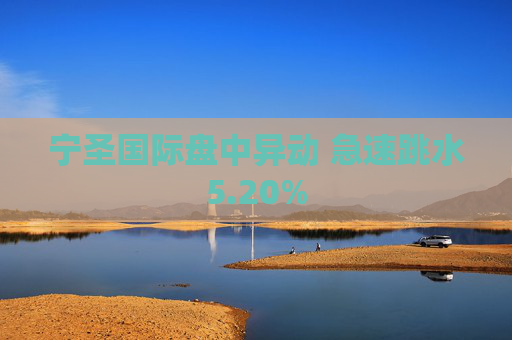宁圣国际盘中异动 急速跳水5.20%