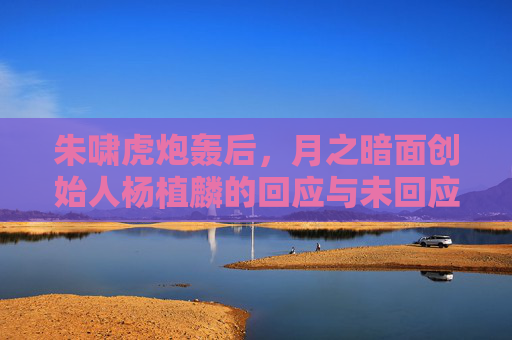 朱啸虎炮轰后，月之暗面创始人杨植麟的回应与未回应